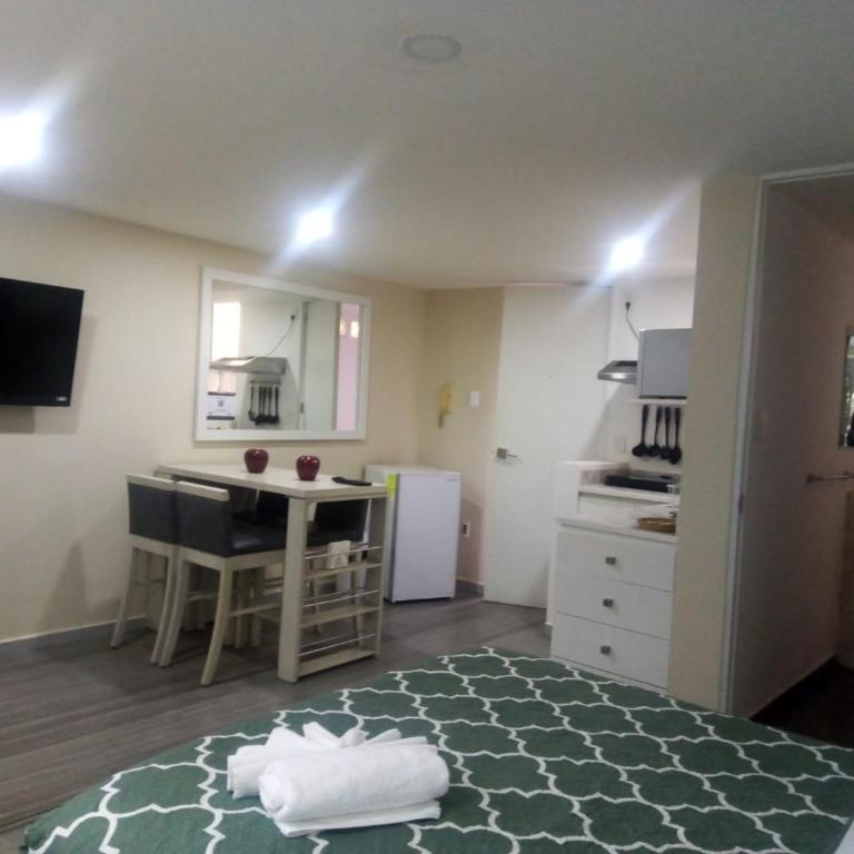 Lovely loft at the business heart of Mexico City - One-Bedroom Apartment - 16