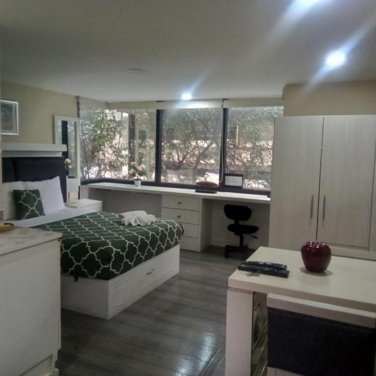 Lovely loft at the business heart of Mexico City - One-Bedroom Apartment - 17