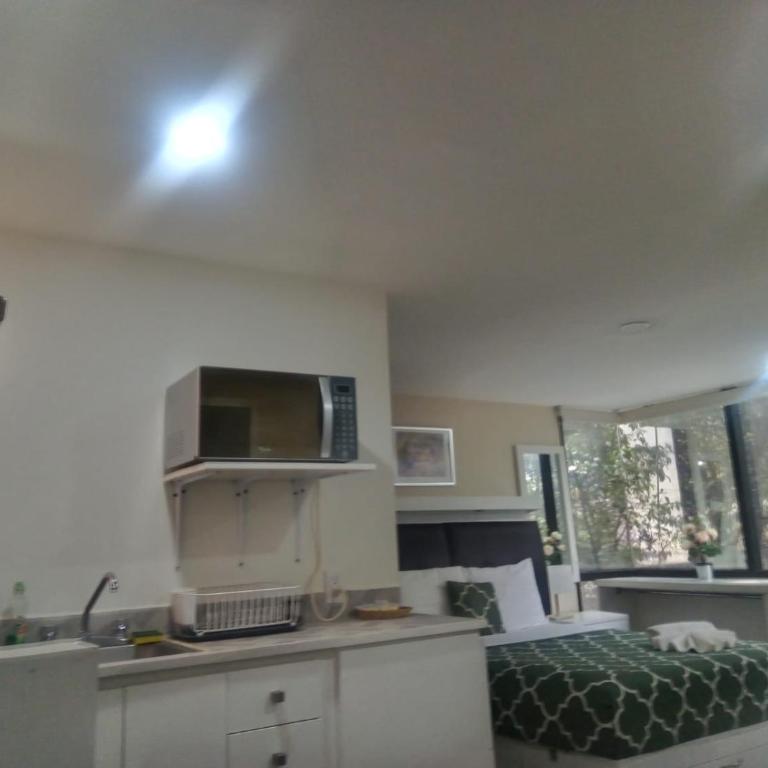 Lovely loft at the business heart of Mexico City - One-Bedroom Apartment - 19
