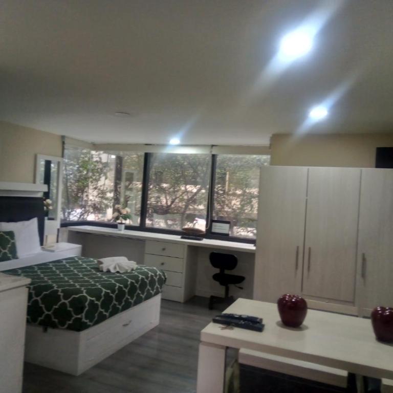Lovely loft at the business heart of Mexico City - One-Bedroom Apartment - 20
