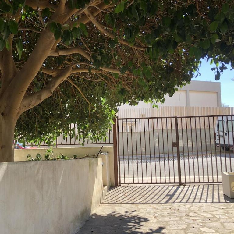 ECO DEL MARE Locazioni Turistiche - One-Bedroom Apartment - 15