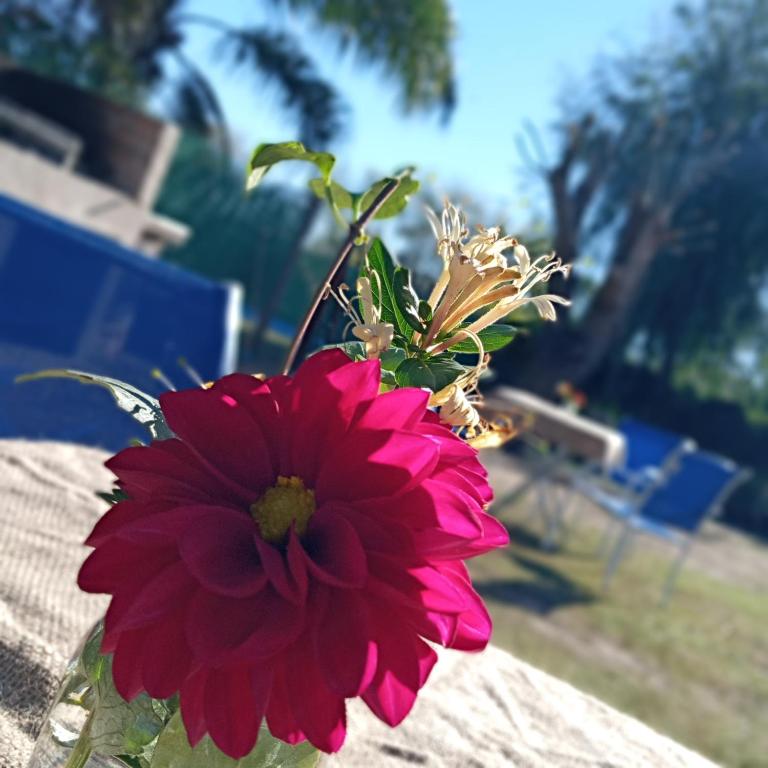 Cabañas De Cero - Apartamento de 1 dormitorio - 37