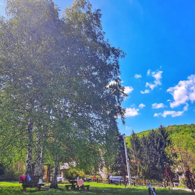 Studio Sanja - Studio Apartman - 5