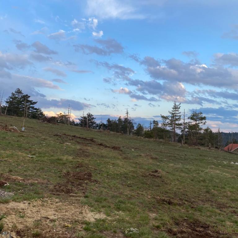 DivčiBor - Apartman sa 1 Spavaćom Sobom - 33