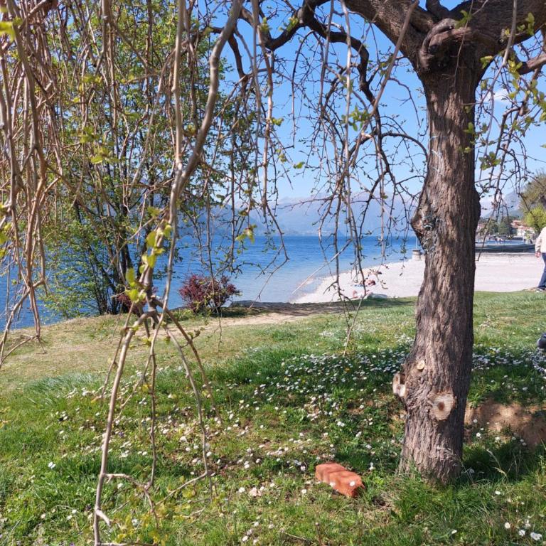 Casa Vacanza Nonno Gigi - Appartamento con 1 Camera da Letto - 29