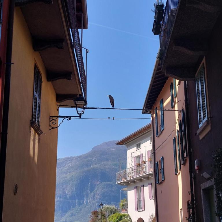Casa Vacanza Nonno Gigi - Appartamento con 1 Camera da Letto - 33