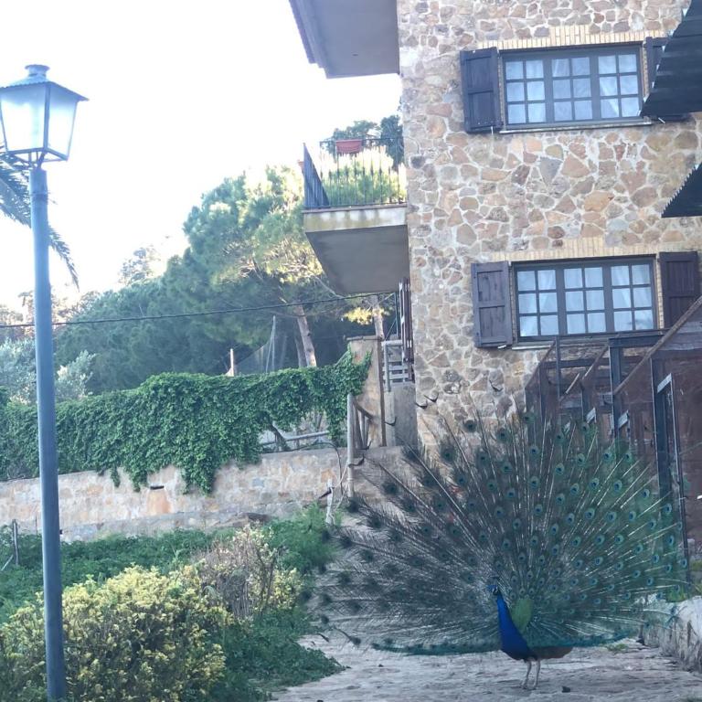 Casa entera a Emporda 10 min platja i piscina - Apartamento de 1 dormitorio - 5