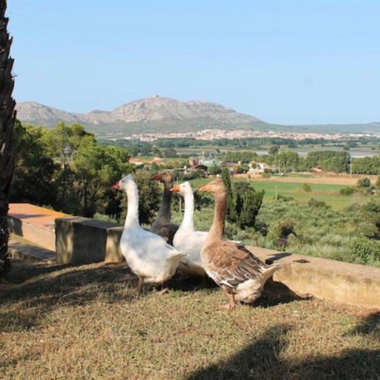 Casa entera a Emporda 10 min platja i piscina - Apartamento de 1 dormitorio - 10
