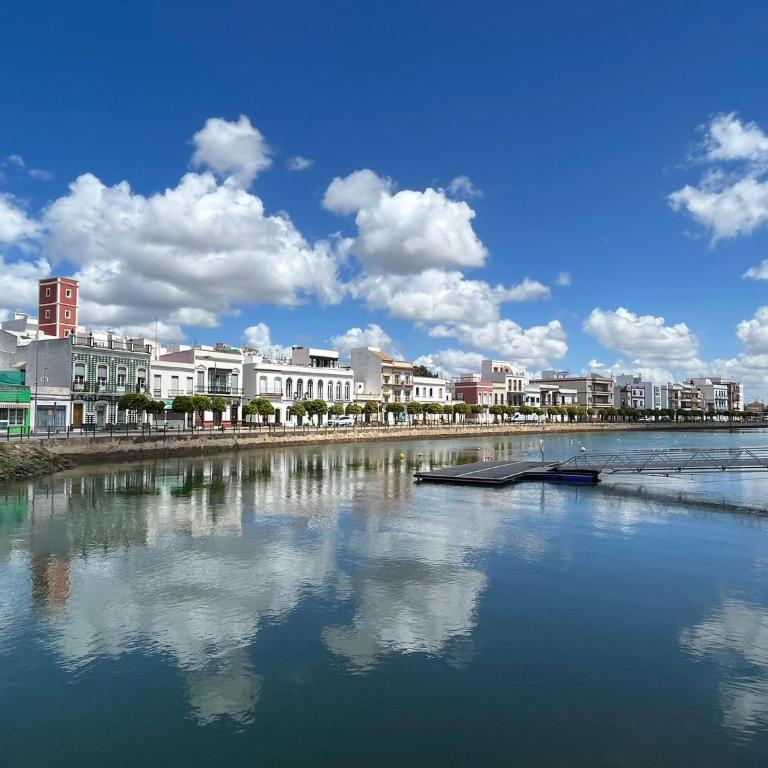 Casa Ribera Centro - Apartamento de 2 dormitorios - 13