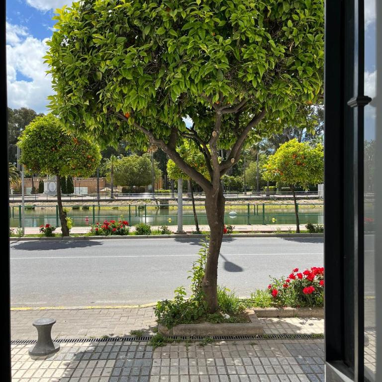 Casa Ribera Centro - Apartamento de 2 dormitorios - 27
