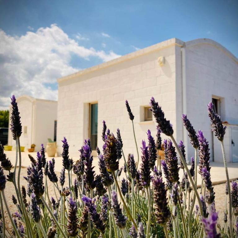TRULLI ACQUASALA - Apulian Country Experience - Villa - 32
