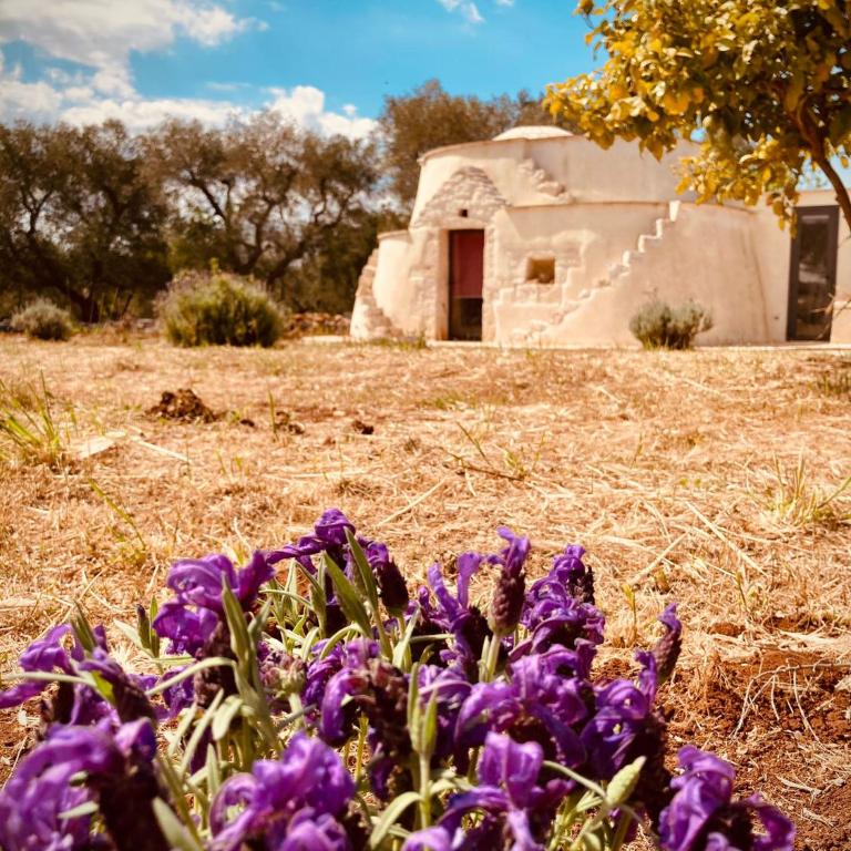 TRULLI ACQUASALA - Apulian Country Experience - Villa - 37