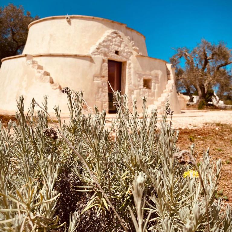 TRULLI ACQUASALA - Apulian Country Experience - Villa - 44