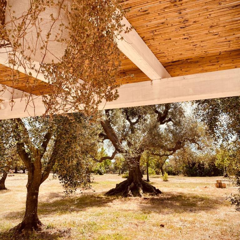 TRULLI ACQUASALA - Apulian Country Experience - Villa - 47