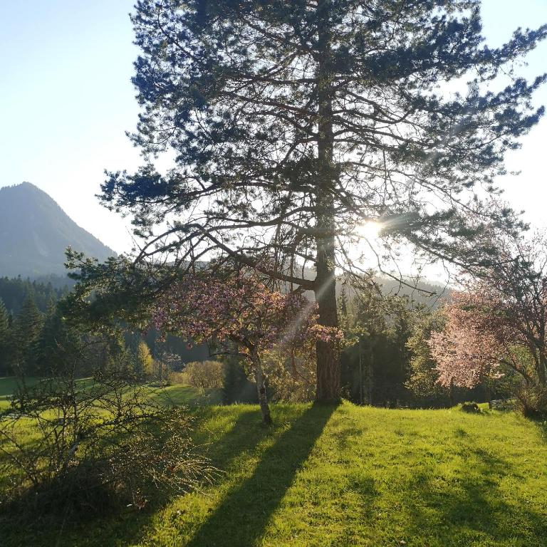 Ferienwohnung Remise am Reitl - Appartamento Deluxe - 53