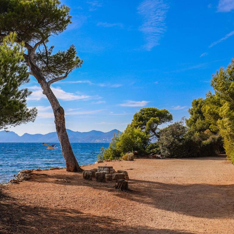 Ideal congress and vacation LIVE IN VILLA PARADOR - Appartement - 17