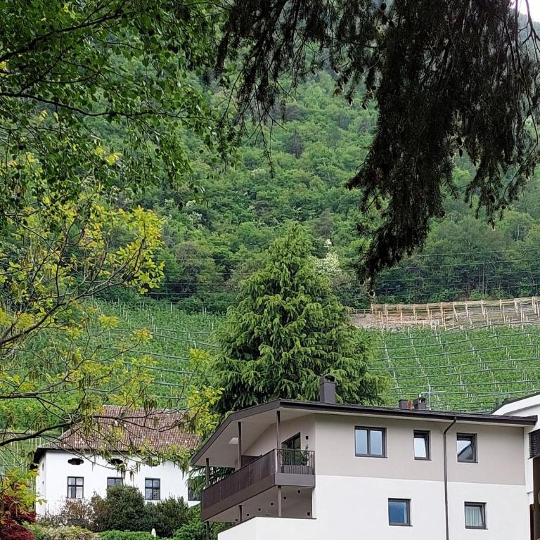 Marlingsuites - Vinea - Wieser Josef - Marling - Appartamento con 2 Camere da Letto - 9