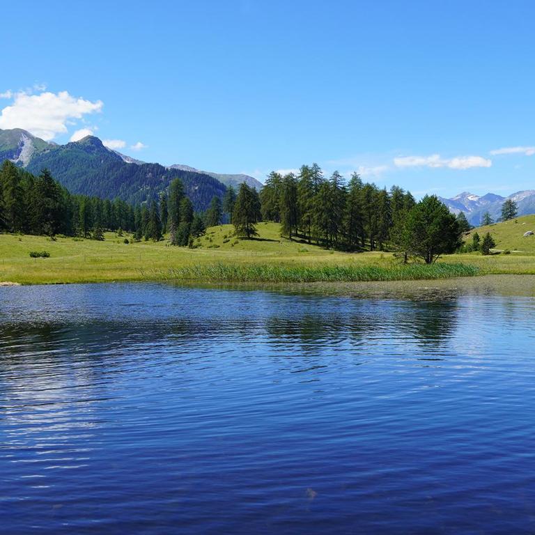 Chasa Fent, Sent Scuol im Engadin - Apartment mit 2 Schlafzimmern - 11