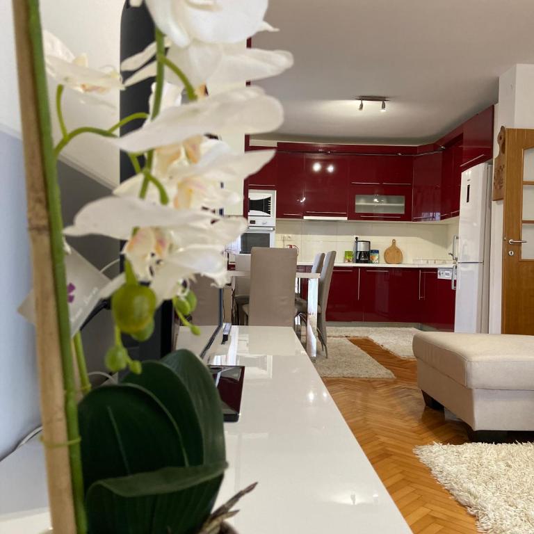 Guest House Ivano - Two-Bedroom Apartment with Balcony - 40