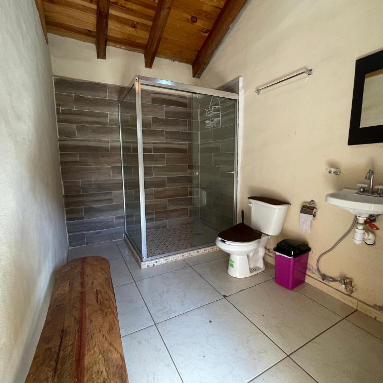 Los Pirineos - Apartamento - 7