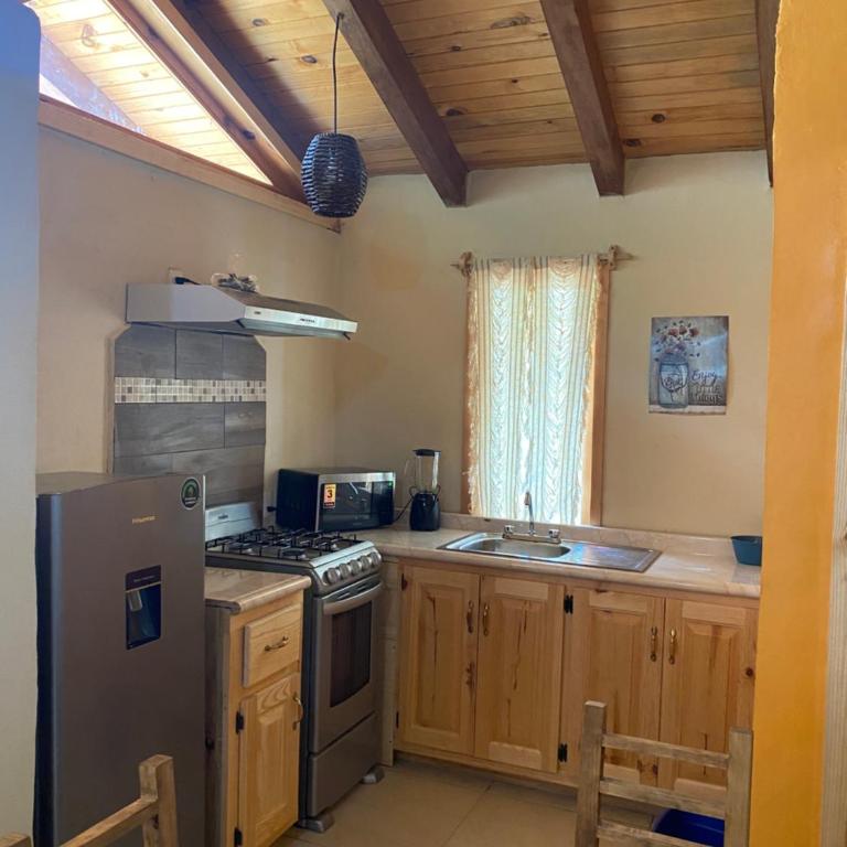 Los Pirineos - Apartamento - 5