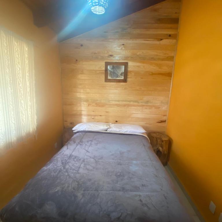 Los Pirineos - Apartamento - 11