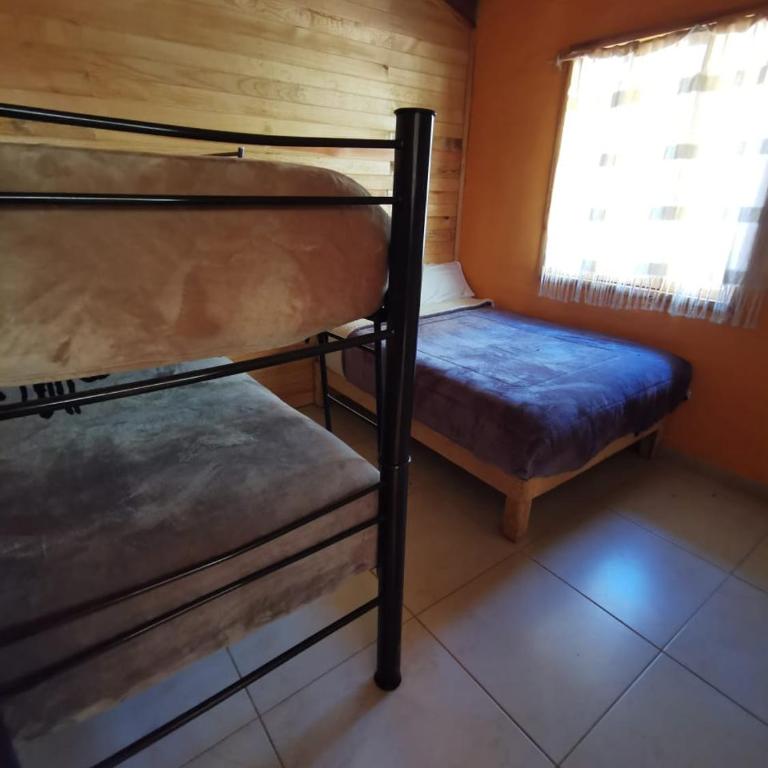 Los Pirineos - Apartamento - 5