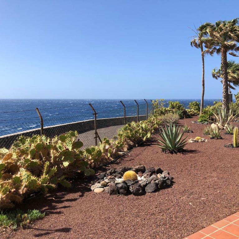 Apartment With Ocean Terrace - Apartamento de 1 dormitorio - 25