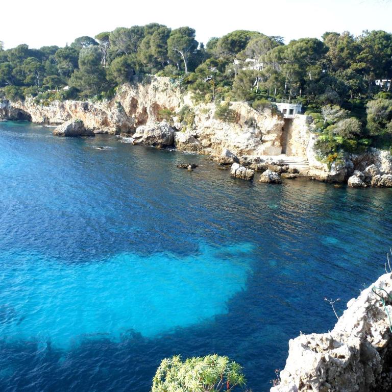 Magnifique Studio dans résidence avec Piscine - Studio - 45