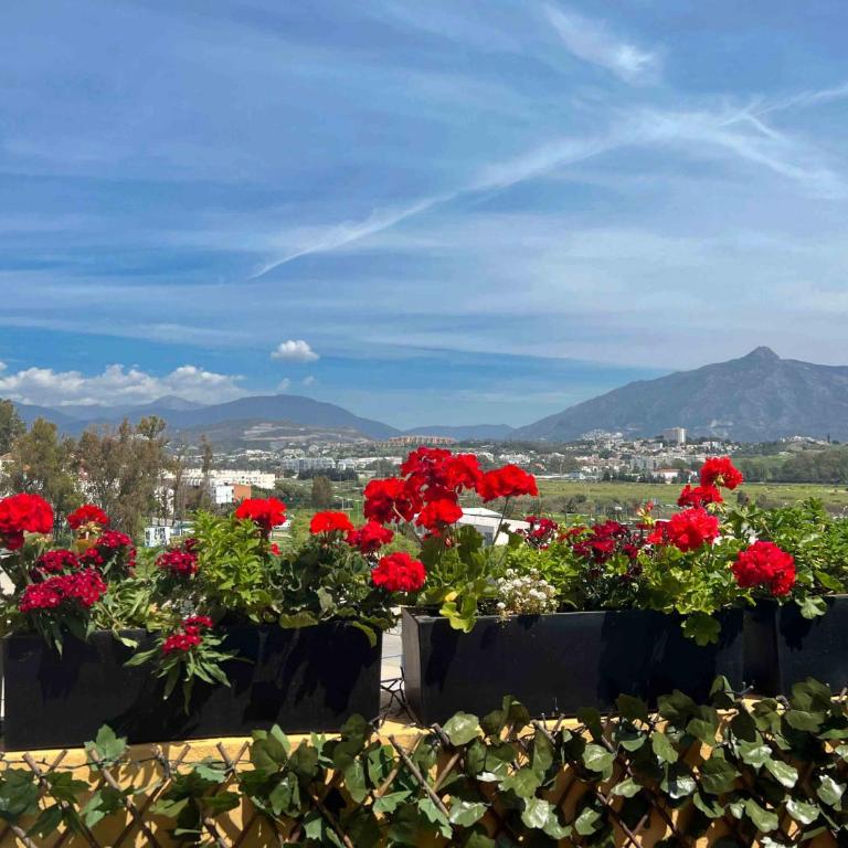 62 - Penthouse in Los Almendros with fantastic vie - Penthouse Apartment - 24