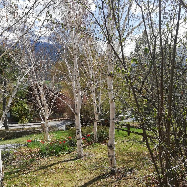 1.2.3 SOLEIL - Chalet - 26
