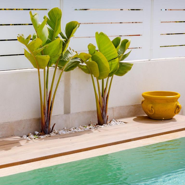Villa TinaDea - Villa con piscina privada - 12