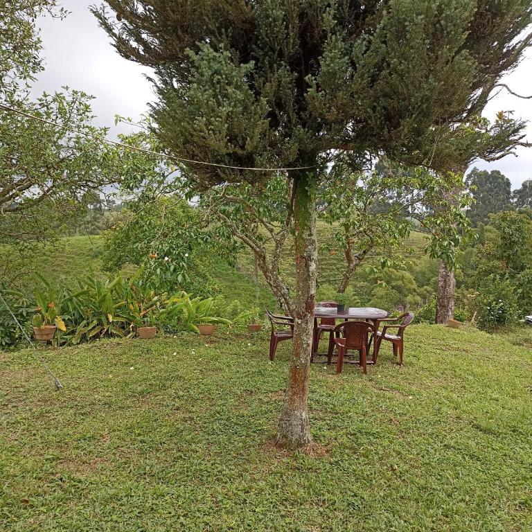 Casa Rustica La Bella Filandia - Casa - 16