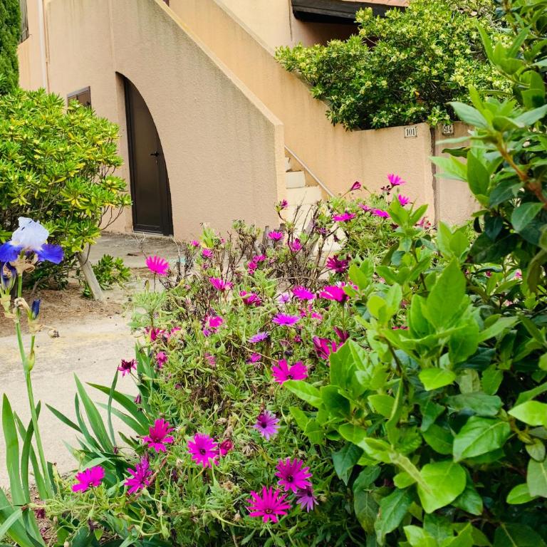 T2 bis terrasse PORT LEUCATE - Two-Bedroom Apartment - 1