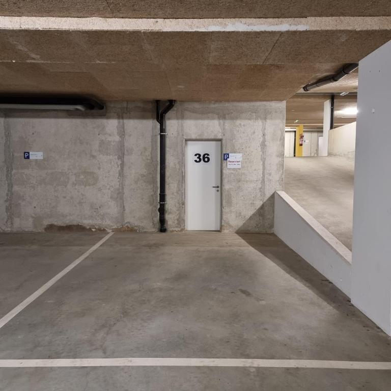 Bergquell B - Apartamento - 45