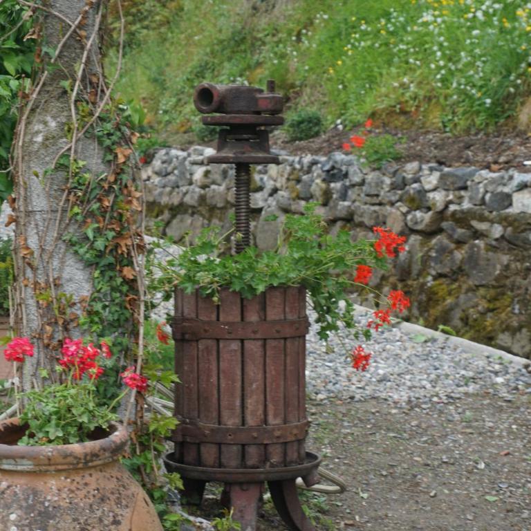 Agriturismo U muinettu - Camera Matrimoniale con Bagno Privato - 2