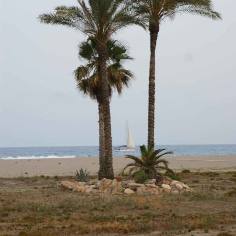 Apartamento en Vera a 300 m de la playa, con patio y salida directa a calle - Apartamento de 1 dormitorio - 18