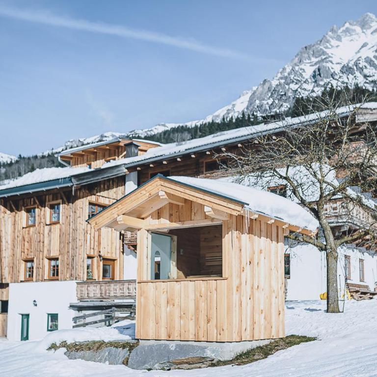 Appartement Adamhof Spielberg Leogang - Appartement avec Terrasse - 9