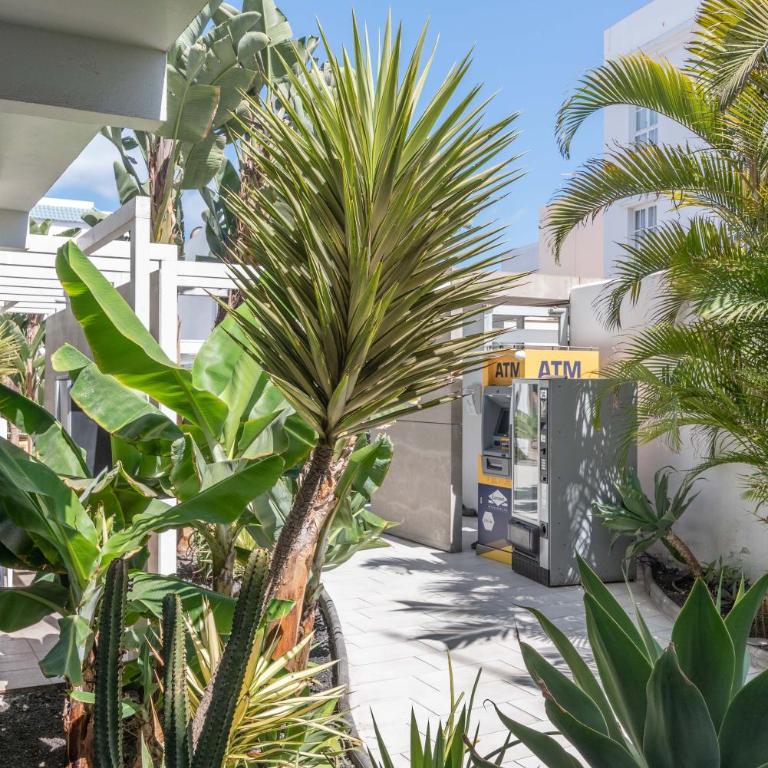 Gaviota HolidayFV - Apartamento de 1 dormitorio - 14