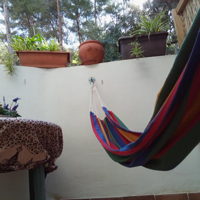 Fabulosa Casa del Árbol - Apartamento de 2 dormitorios - 5