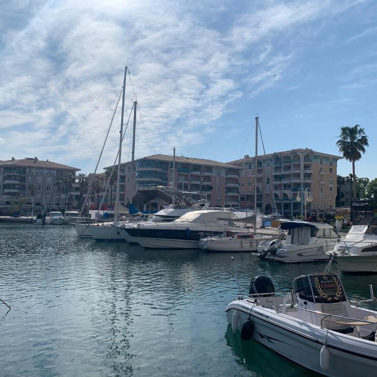 Studio confort port de Frejus - Estudio - 14
