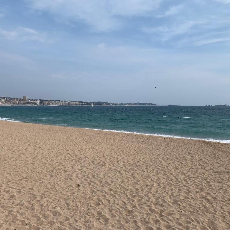 Studio confort port de Frejus - Estudio - 15
