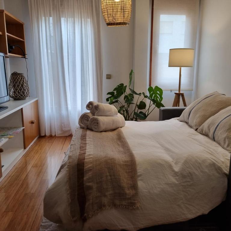 Salamanca Rentals - Apartamento con terraza a 1 minuto de la Plaza Mayor - Apartamento de 2 dormitorios - 28