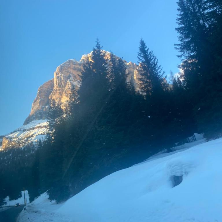 The Grey Lodge at Bosco Verde - Appartamento con 3 Camere da Letto - 43