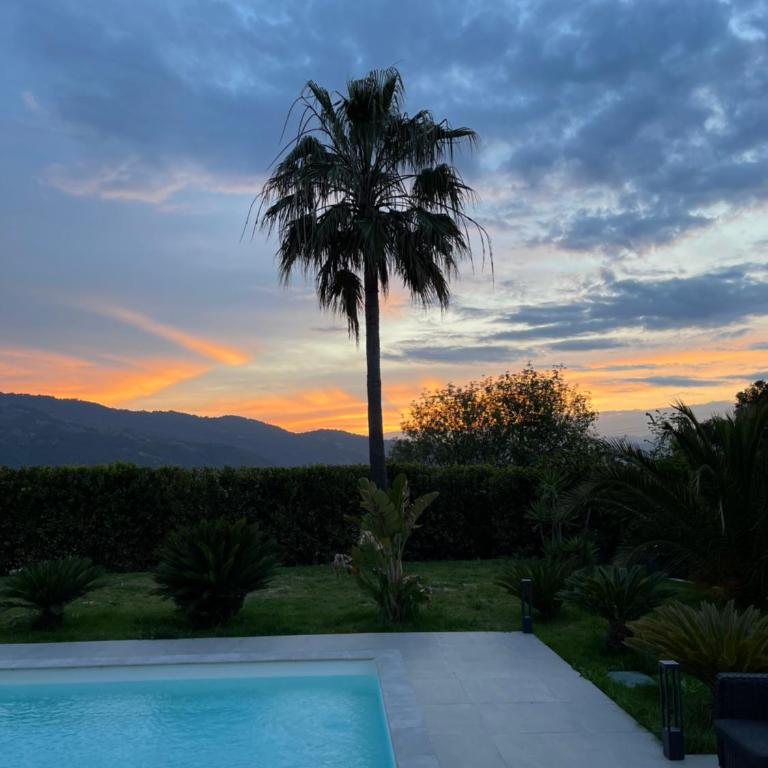 Villa Blanche - Villa - 32