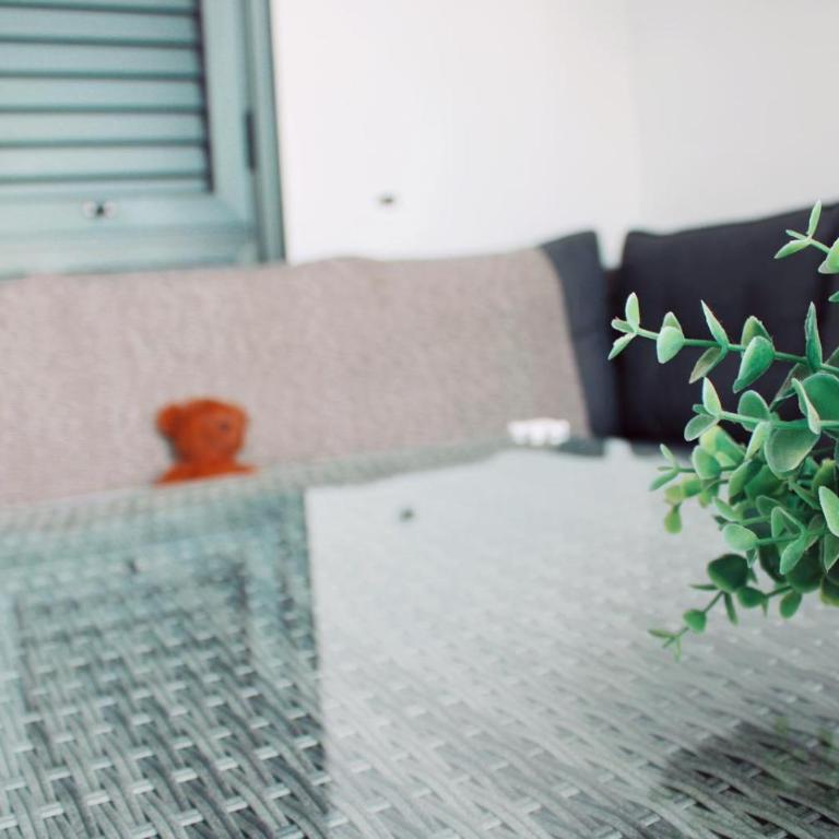 Lovely pool view apartment near beach, Luz y Mar + Vv License - Two-Bedroom Apartment - 19