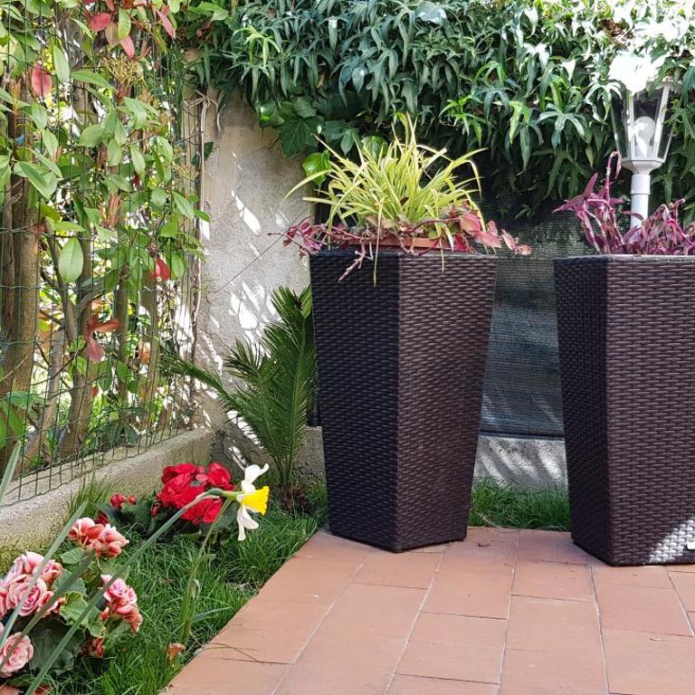 Casale Cisanello - Casa Vacanze - 2