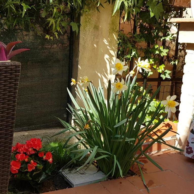 Casale Cisanello - Casa Vacanze - 3