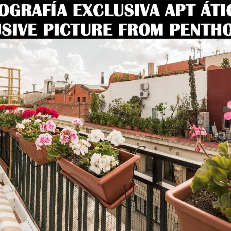 Apartments Madrid Principe - Penthouse Apartment with Terrace - 12