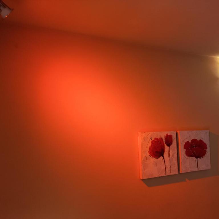 Cabañas La Belen - Apartamento - Planta baja - 13